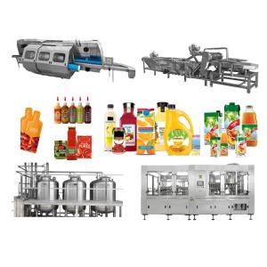 China Turnkey Project Berry Juice And Jam Processing Line Including Equipment Installation And Training on sale