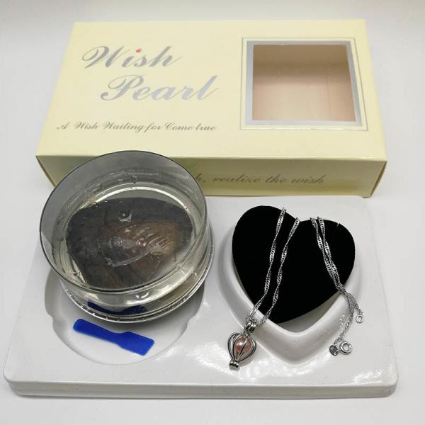 Wish Love Pearl Necklace Gift Set with Cage Pendant & Canned Freshwater Pearl DIY Fashion Jewelry