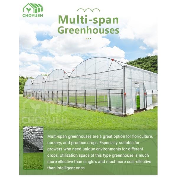 Saw Tooth Type PE Film Greenhouse Width 6m 8m 9m 10m 12m