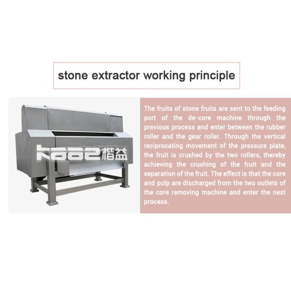 Peach Stone Removing Machine Double Channel Fruit Beating Machine