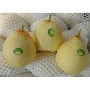 Best 18kg Fresh Chinese Ya Pears Fruit wholesale