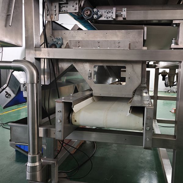 Dried Carrot Dice AI Sorting Machine Optical Color Sorters