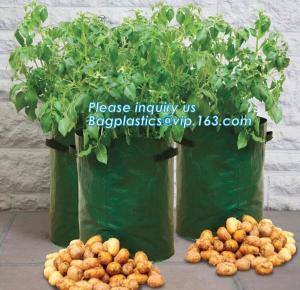 Best Nine pockets cheap vegetable grow planter bag,china manufacture riptop waterproof nursery bag,planting potato grow bag wholesale