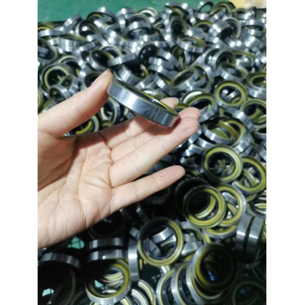 Double Lip Skeleton NBR FKM Silicone TC SC TG TB DC TCV TCN Cassette Combi Reducer Rotary Shaft Oil Seal