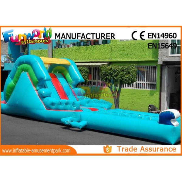 Attractive Blue Cartoon Outdoor Inflatable Water Slides For Kids and Adults