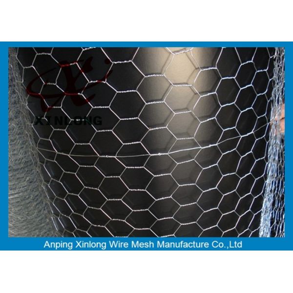 Hexagonal Small Gauge Chicken Wire , Small Hole Chicken Wire BWG19-25