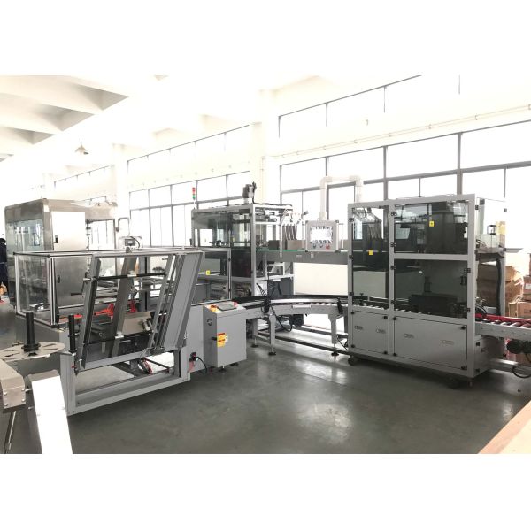 Compact Toilet Cleaner Filling Machine Liquid Detergent Filling Machine High Efficiency