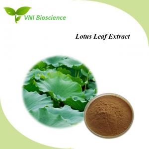 China OEM Lotus Leaf Extract Nuciferine 2% 10% Folium Nelumbinis Extract on sale