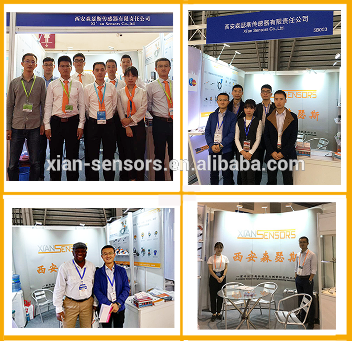 Small Volume Hydraulic Pressure Sensor Water Oil Measuring Fluid