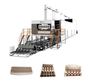 Best Egg Tray Making Machine Fully Automated Using Recycled Paper Pulp wholesale