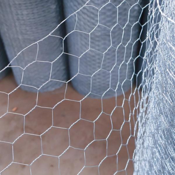 Cheap BWG21X3/4" Galvanized Hexagonal Wire Mesh Roll Chicken Net For For Chicken Coop for sale