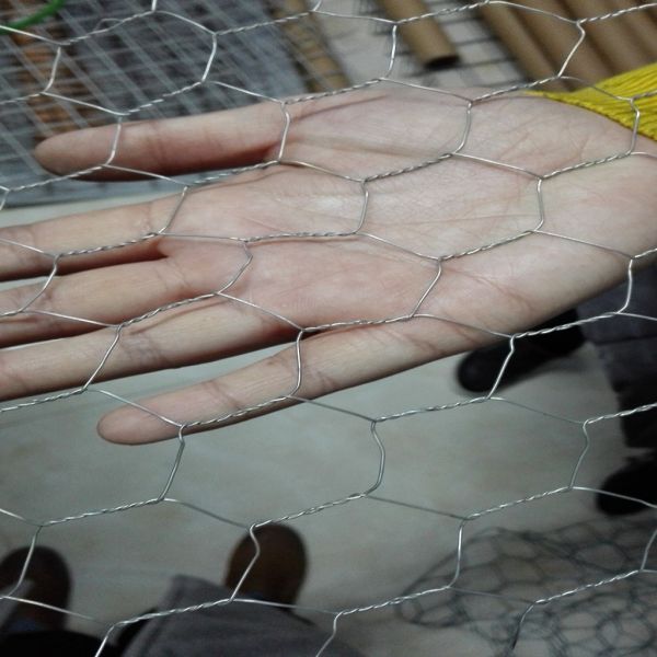 1.0 MM 1 / 2 '' Aperture Electro Galvanized Hexagonal Chicken Mesh Corrosion - Resistant