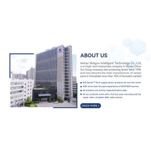 Henan Weiguo Intelligent Technology Co., Ltd.