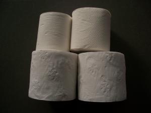 Best Flower Embossed Toilet Tissue Paper Bath Tissue 2 Ply 10 Rolls wholesale