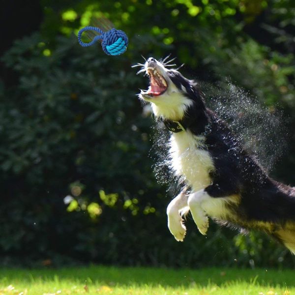 Interactive Rope Chewy Indestructible Dog Toys For Medium To Large Breeds Puppies