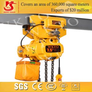 Best electric 5 ton chain block wholesale