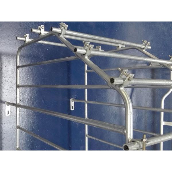 Anti Rust Swine Breeding Equipment For Sow Finishing / Weaning / Farrowing / Gestation