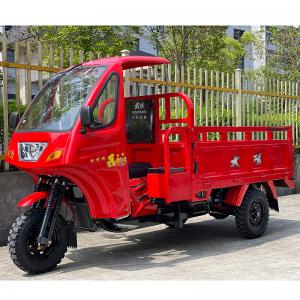 China Closed Body Type Motorized Cargo Tricycle Steel DAYANG Drum Petrol Water Cooled 200cc/250cc/300cc on sale