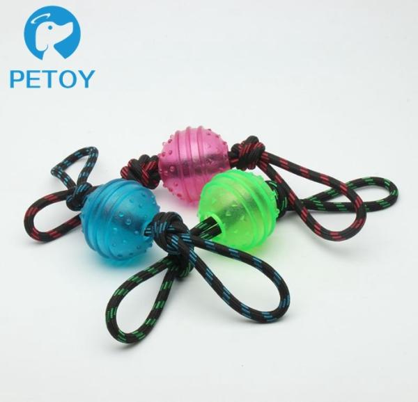 Cheap Lightweight Plastic Dog Ball With Rope Interactive Dog Toy For Heavy Chewers for sale