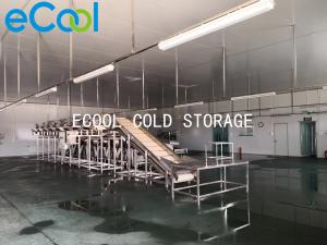 Best Air Cooler Multipurpose Cold Storage With Freon Refrigeration System wholesale