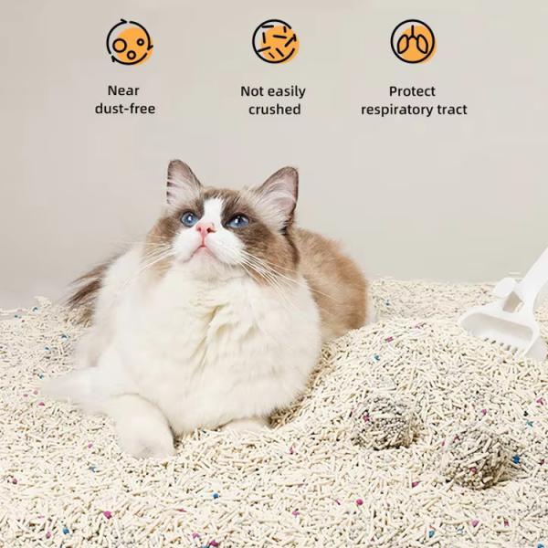 Flushable Bentonite Tofu Mixed Cat Litter Dust Free Clumping Biodegradable Cat Litter
