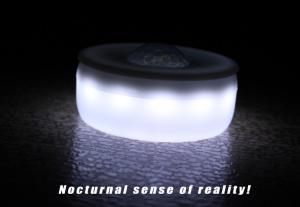 China Elegant Intelligent Induction Lamp Bedroom Induction Baby Eye Protection on sale