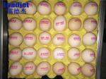 1-6 Lines Egg Inkjet Printer , Automatic Batch Coding Machine With Food Grade