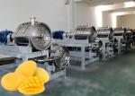 High Efficiency Mango Juice Processing Machine With Safety Protection Processing