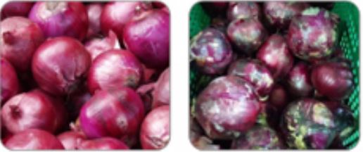 Belt Type Vegetable Sorting Machine Double Layer 2765kg 0.6 T/H 8.75kw