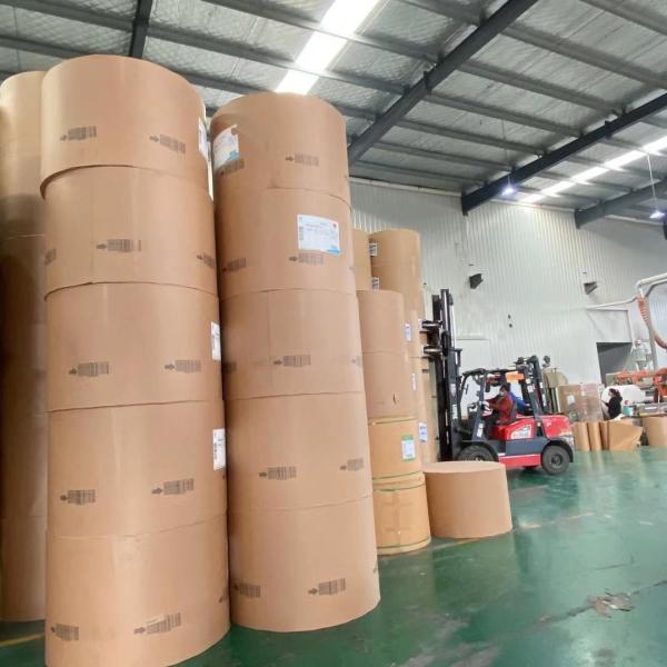 High Bulk PE Coated Paper Roll 135gsm Waterproof For Paper Cup