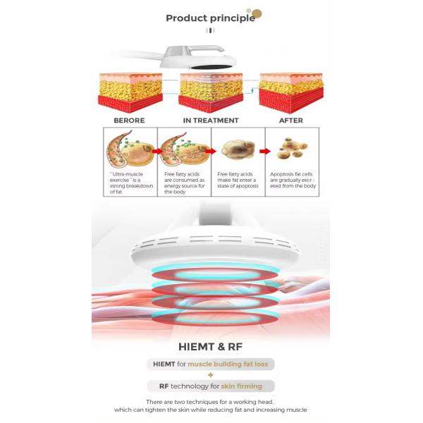 HIEMT Beautiful Muscle Machine 7 Tesla Portable EMS Machine For Muscle Growth