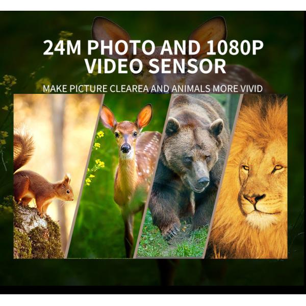 16pcs IR LED Hunting Trail Camera 32MP 60 Degree PIR Sending Angle Waterproof 4K / 10fps