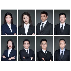 SHENZHEN FEIYANG PROTECH CORP.,LTD