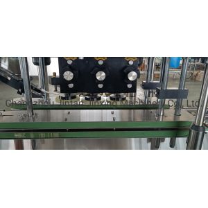 Fully Automatic Shampoo Packaging Machine Detergent Bleach Cosmetics Preservativ