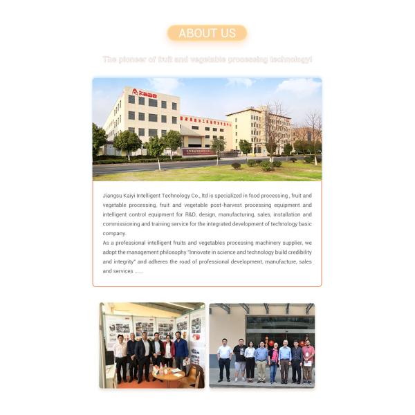 Automatic Dicing Fruit And Vegetable Processing Machine With 500~800kg/H