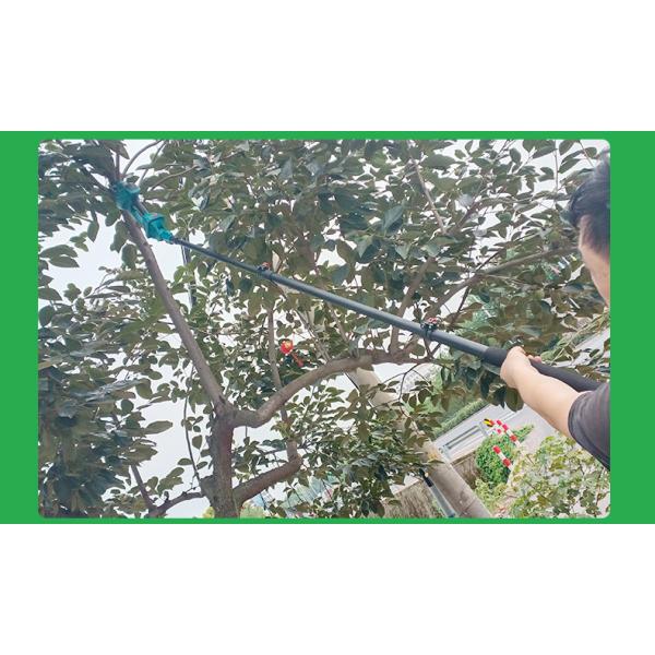 8 Inch Pole Cordless Electric Chainsaw 250cm Max Reach For Tree Trimming