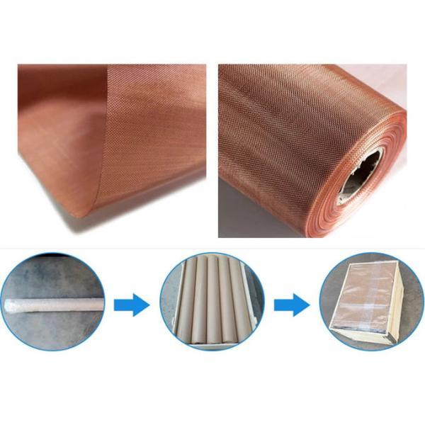 Wear Resisting Shielding 15 20 Magnetic Phosphor Bronze Wire Mesh Copper Woven