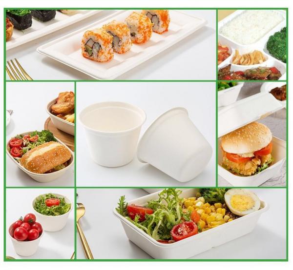 Biodegradable Embossing Sugarcane Bagasse Food Container Microwavable Disposable