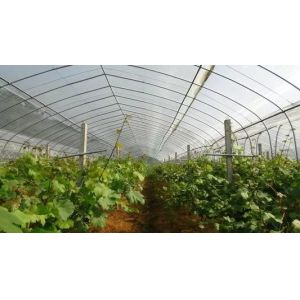 5 years usage insect repellent net/20x10 Anti Aphid Net/Greenhouse/Agriculture
