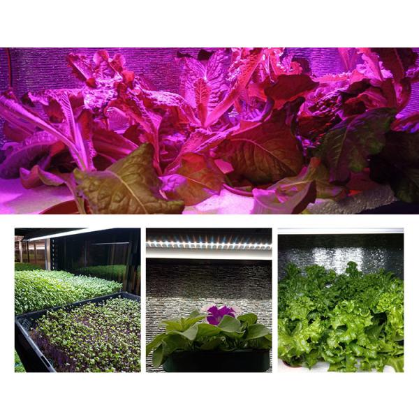 140lm/W LED Grow Light Timer 2FT Full Spectrum For Horticulture