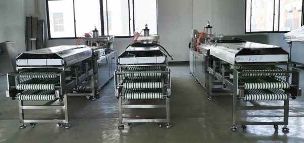 CE Flour Material PLC Tortilla Bread Machine 500Kg/H 6'' 12''