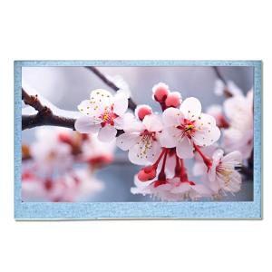 4.3 Inch TFT In Plane Switching LCD Display  With RGB Interface