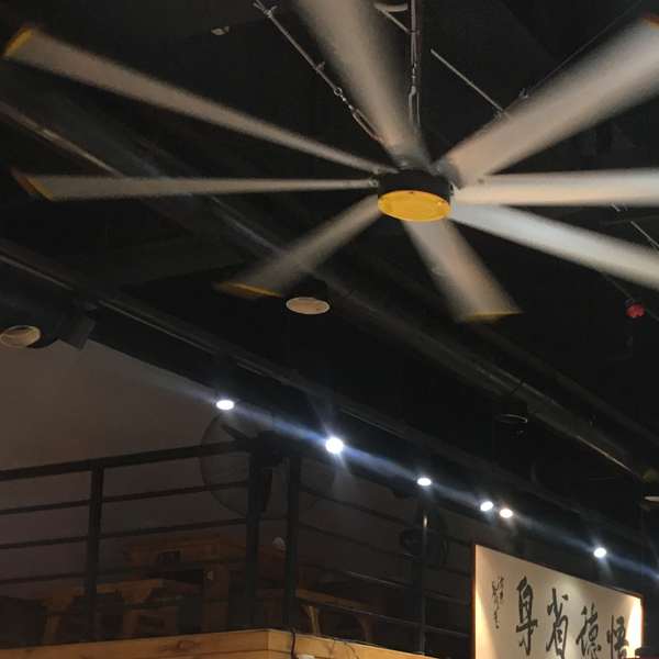 Versatile 2.4m 8FT Brushless HVLS Ceiling Fan for Food Shops and Manufacturing Plants