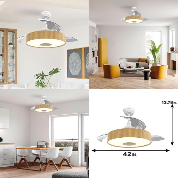 Manufactory European Style BLDC Ceiling Fan 42 Inch Retractable Ceiling Fan With Light And Remote