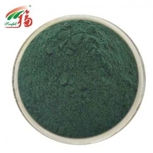 Best Sodium Copper Chlorophyll Powder Pure Natural Extract For Health Products wholesale