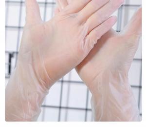 Best Isolate Dirty Vinyl Powder Free Gloves 24CM Vinyl Food Service Gloves wholesale