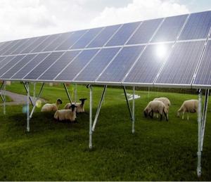 China SGS Open Field Solar Mounting Structure With concrete foundation solar bracket solar mounting system on sale