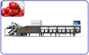 Best A Machine That Automatically Sorts Jujubes According To Their Size 8 Lanes Dates Sorting Machine wholesale