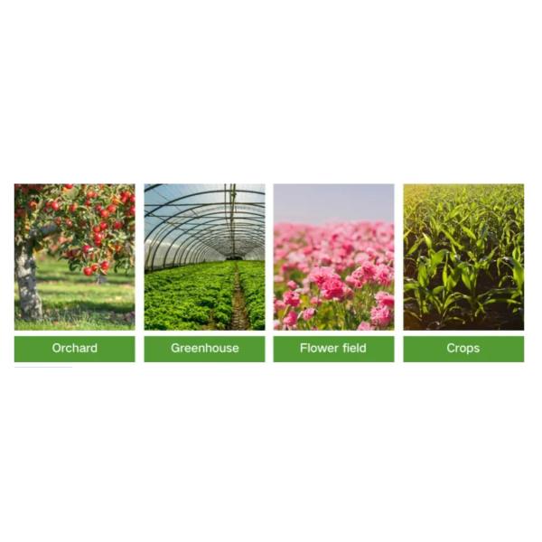 Tractor Mist Blower Sprayer Agricultural Sprayer Air Blast Sprayer