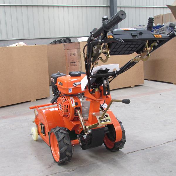 Walk Behind Mulching Mower Flail lawnmower Self Diesel 3000rpm